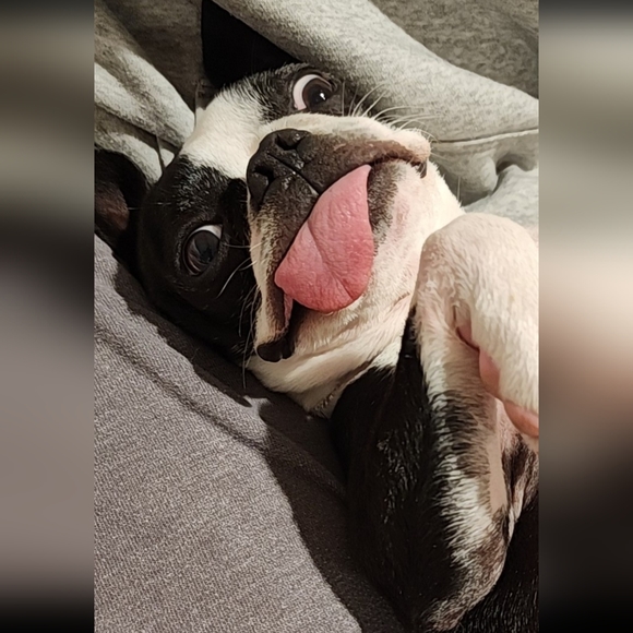 ❤ For Gemstone Jewelry Live Show Alerts! ❤️❤ Items For An Offer! - Picture 3 of 17